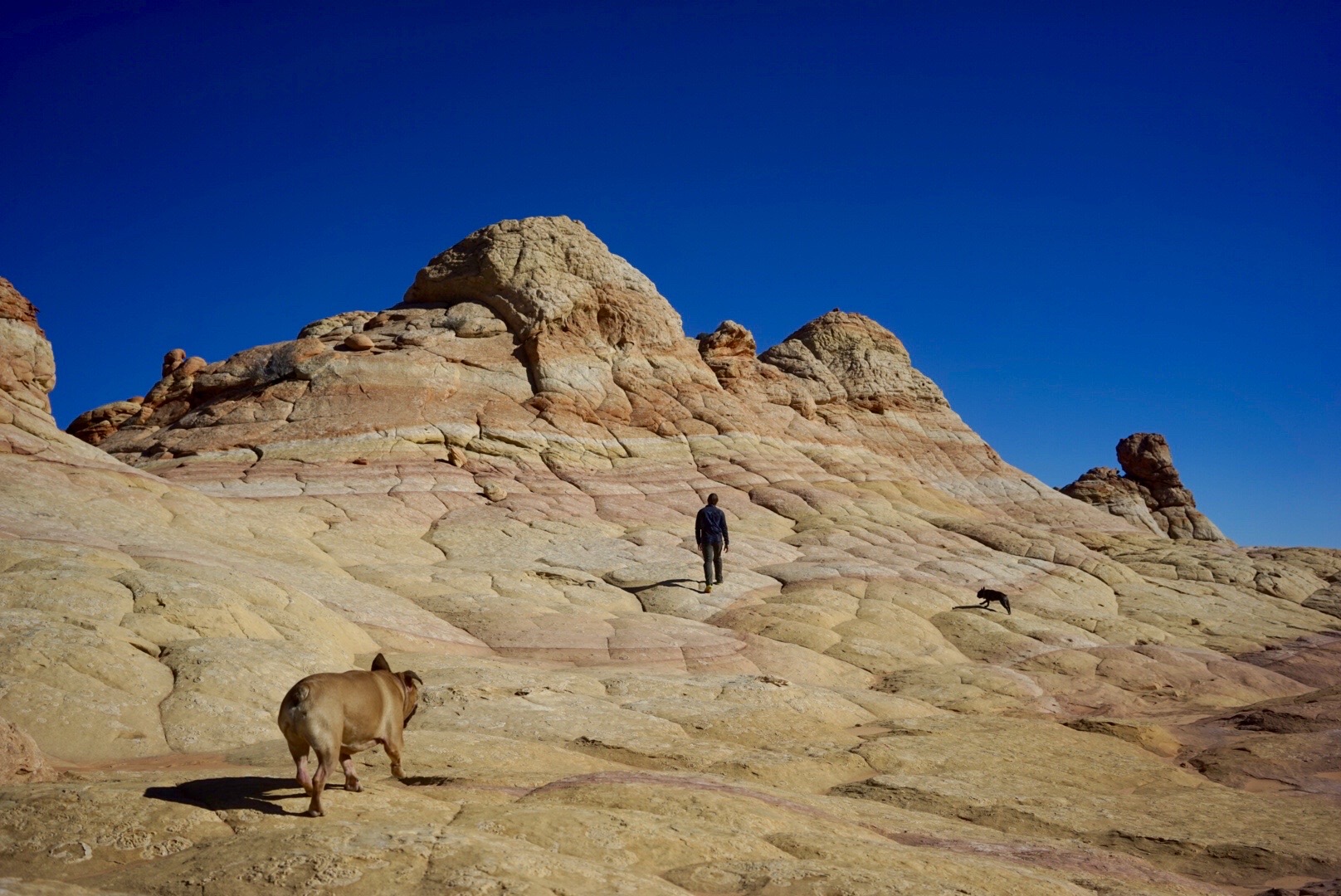 Kiefer Wiedmaier hiking the Arizona desert rock formations with his dogs